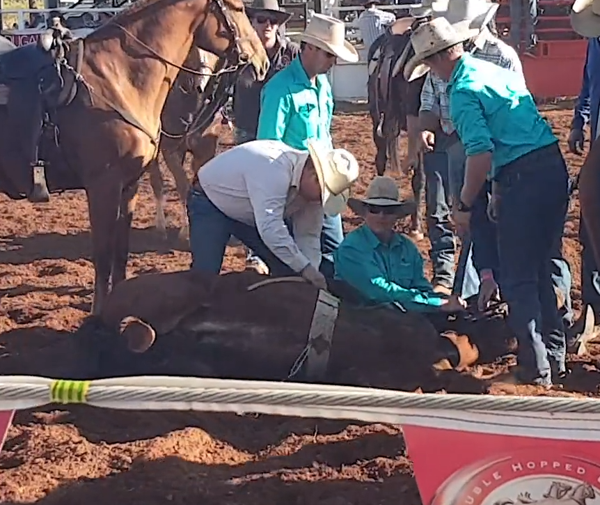 Horse died at Quamby Rodeo 2019