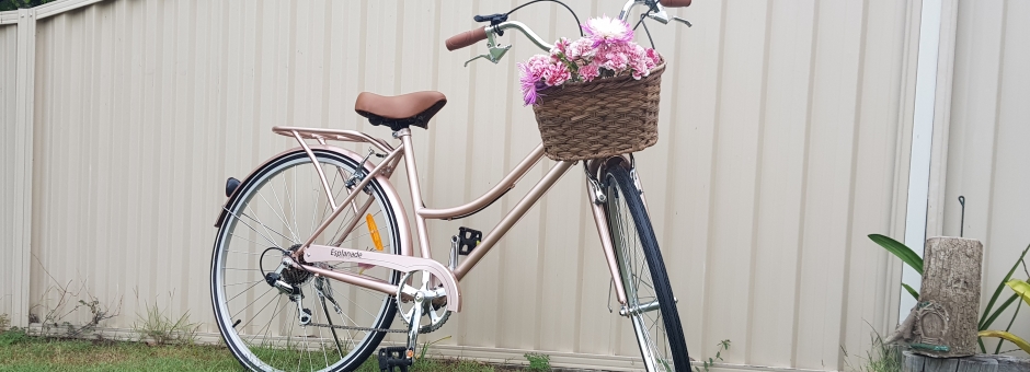 Bike - Mother's Day Raffle Prize